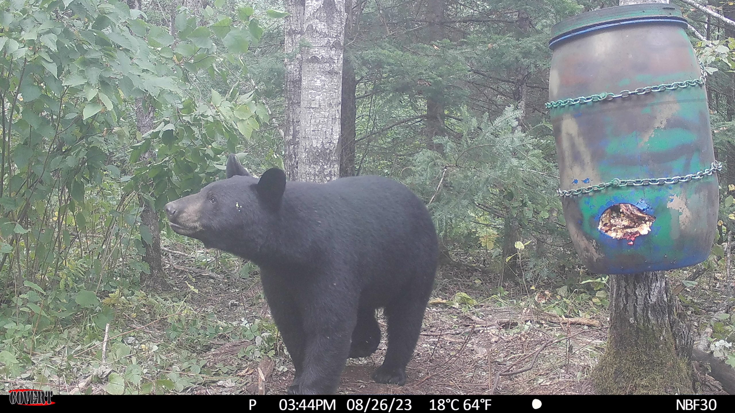 Meet Bear Hunters from Across North America! 